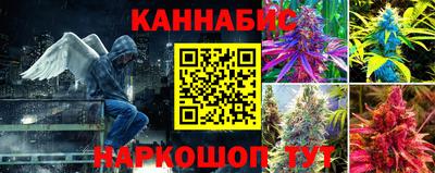 a pvp Заводоуковск