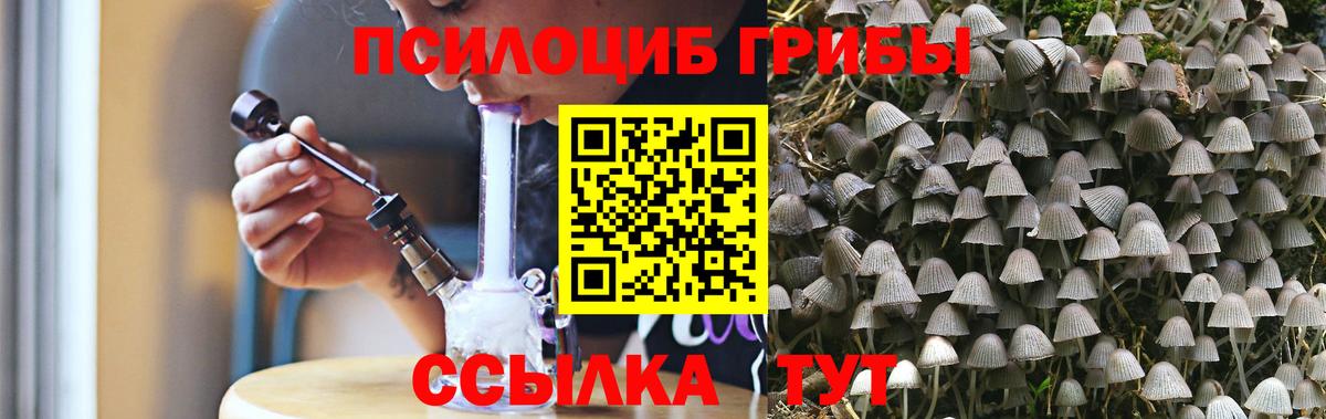 Псилоцибиновые грибы Psilocybine cubensis Евпатория