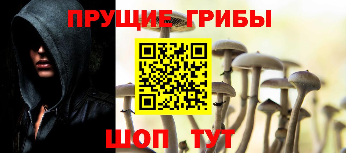 Псилоцибиновые грибы Psilocybine cubensis  Вход с VPN  Евпатория 